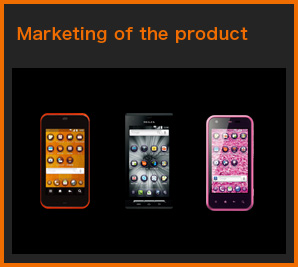 Marketing of the product